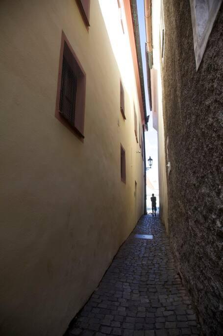 Unesco 14 Century Český Krumlov Exterior foto